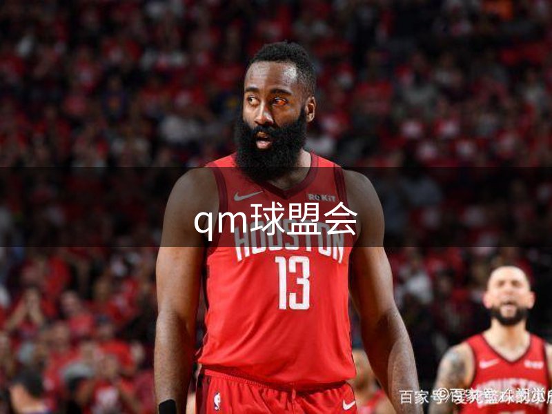 网站介绍
